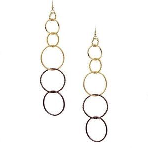 𝅺nwt Bansri multi hoop lynx “in the swing” earrings